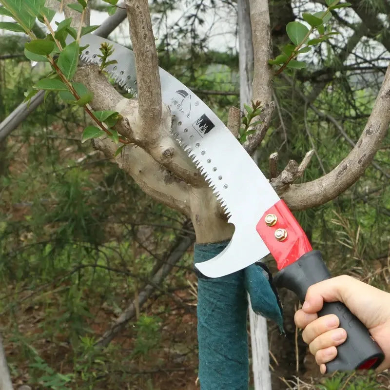 Scie à branches télescopique haute altitude pour l'élagage des arbres fruitiers