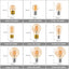 Night Light Bulbs