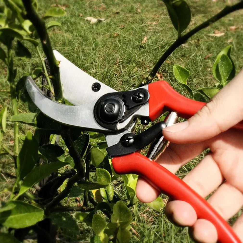 Gartenschere mit rotem Griff: Perfekt für die Landwirtschaft und zum Blumenpflücken