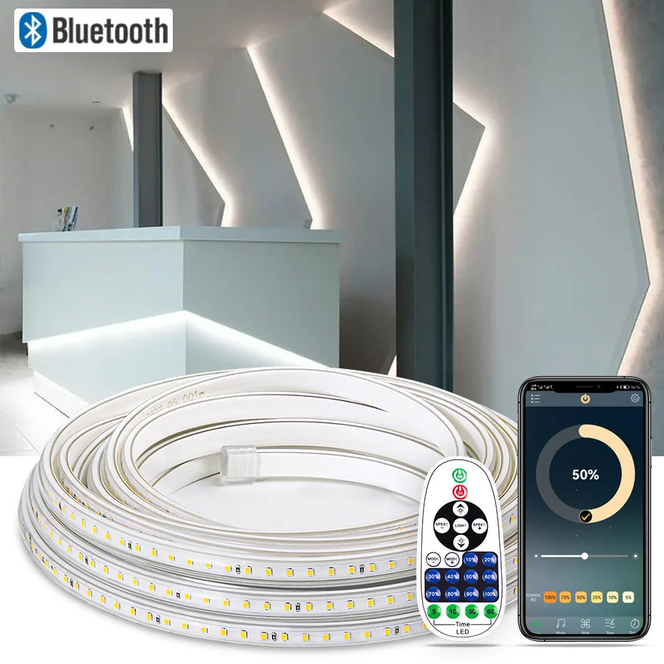 LED Strip