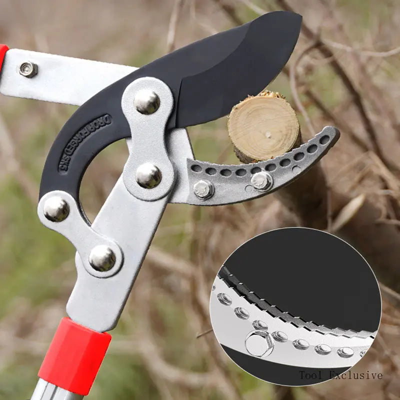 SK5 Steel Pruner: Ideal for Garden Branches and Fruit Trees