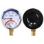 Compact Thermo-Manometer: 0-10 Bar, 0-120¡æ Boiler Gauge